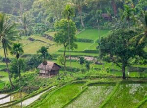 Perfect Southeast Asia Itinerary
