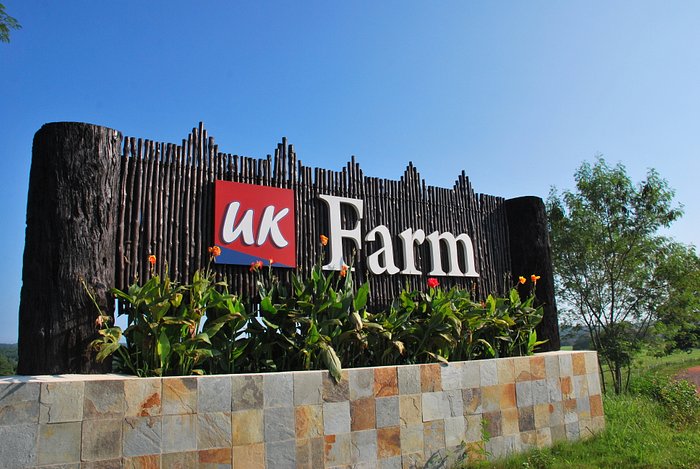 UK Farm Kluang
